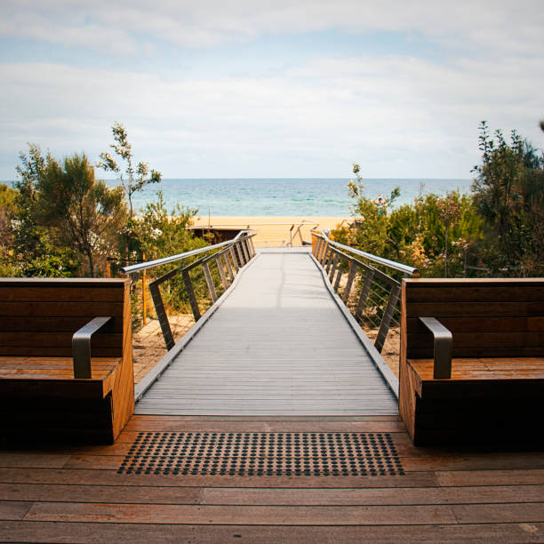 istock Boardwalk Leading to the Beach 1254329166
