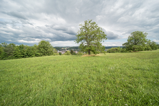 nature landscape in southern germany wit big clouds, near lörrach.