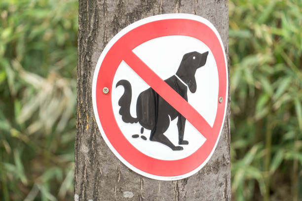 istock No dog poop sign 1254338924