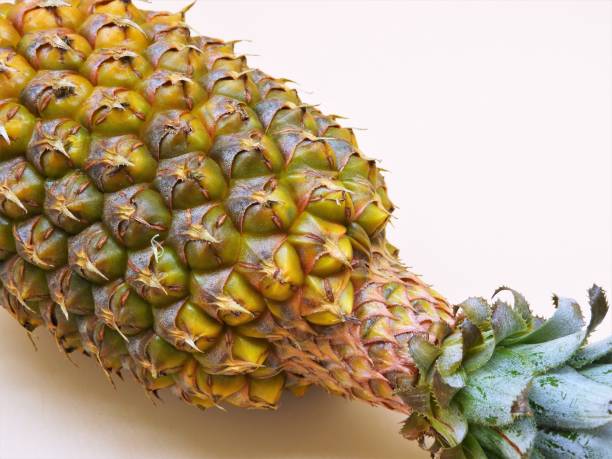 pineapple8