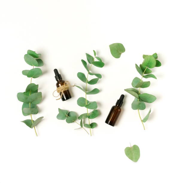 istock Eucalyptus essential oil bottles and leaves isolated top view on white background. copy space. 1254344471