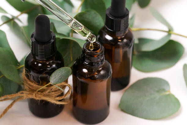 eucalyptus essential oil bottles and leaves isolated close up on white background. essential oil falling from glass dropper. - aromatic oil imagens e fotografias de stock