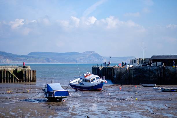 barcos de pesca no porto de lyme regis - the cobb - fotografias e filmes do acervo