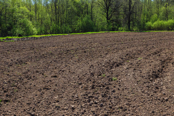 istock Preparing agricultural soil for sowing 1254347616