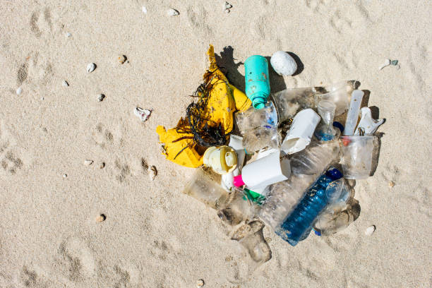 istock Heap of different plastic garbage on beach. Environmental pollution problem. Save the Earth, stop using plastic. 1254349016