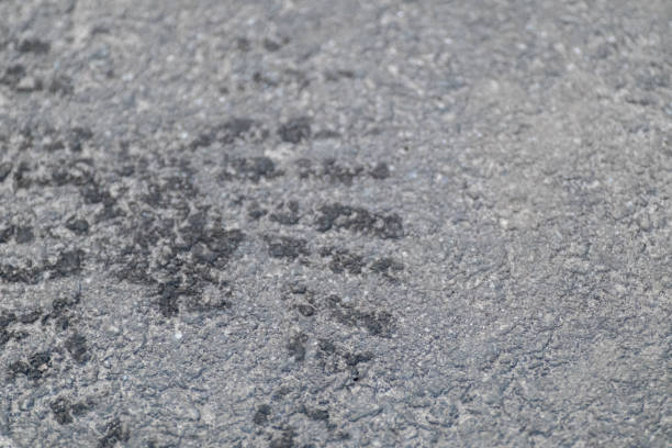 Wet boot shoe footprint on asphalt surface macro road grey close-up