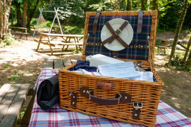 istock Picnic concept in the new normal period. 1254349202