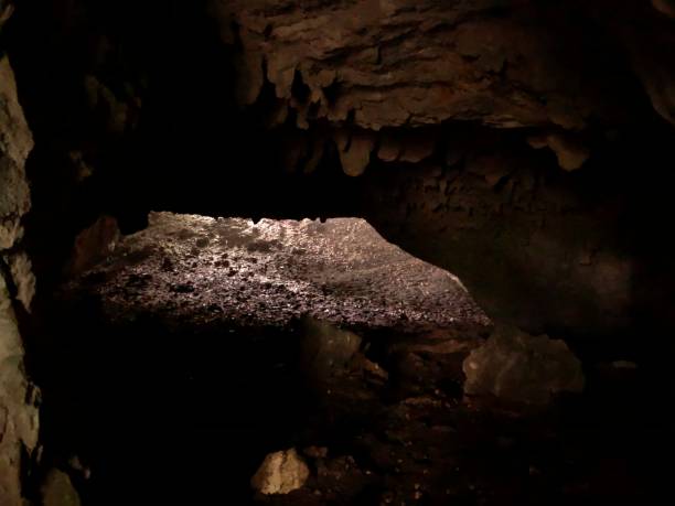 istock Amescoa baja : a forest that hides caves and old dolmens and menhirs 1254349210