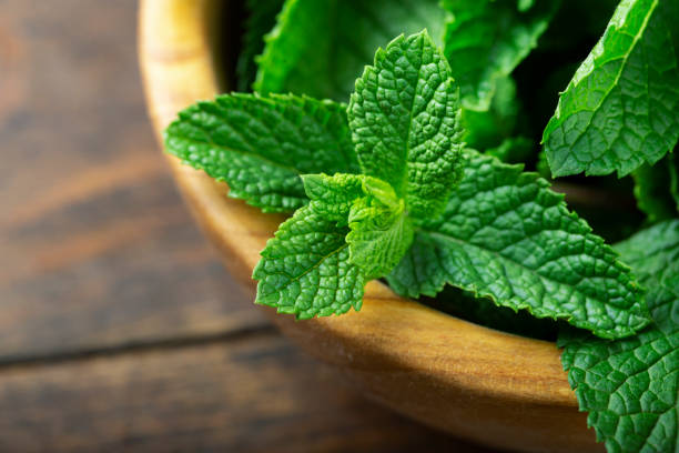 istock Green fresh mint in a bowl on the wooden table 1254350221