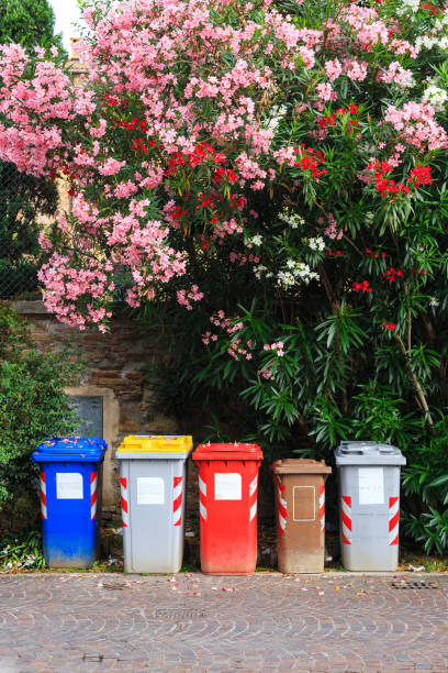 istock Large colorful garbage bins. Dedicated for separate collection of rubbish. 1254351240