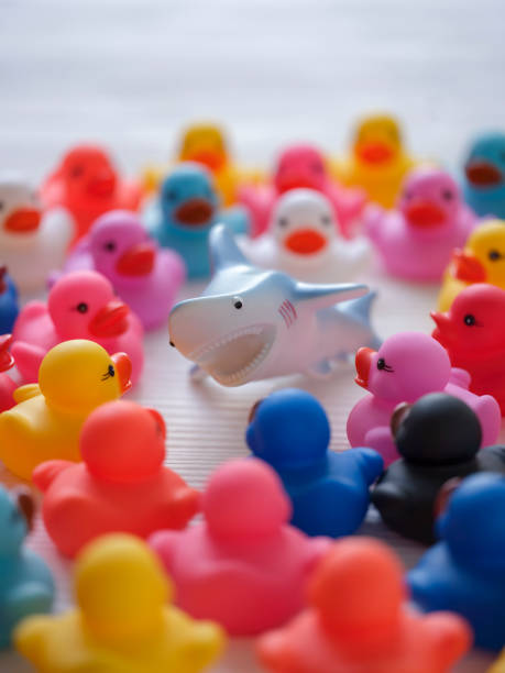 istock Group of many multi-colored rubber ducks surrounding a ferocious rubber shark, set on a white wood background, 1254354034