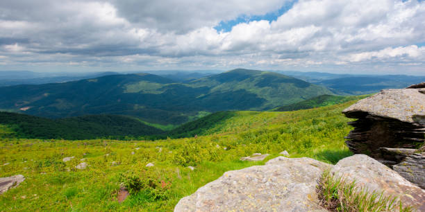 istock meadow with rocks on grassy alpine meadow. 1254355925