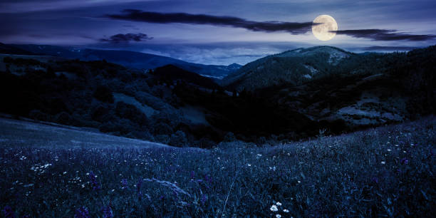 istock summer landscape in mountains at night 1254357085