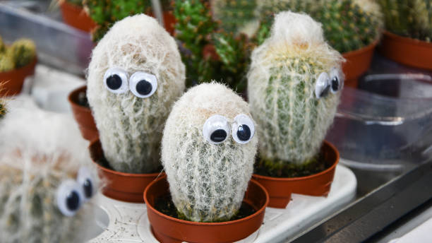 istock Artificial Eyes On Barrel Cactus. cactus with eyes 1254358431