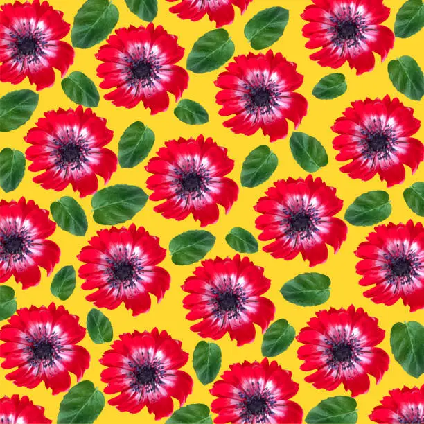 Floral pattern with red flowers and mint leaves on yellow background. Top view