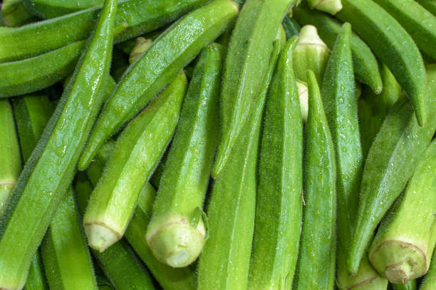 istock Fresh & Green Ladies Fingers Vegitable Background Texture Image. 1254360498