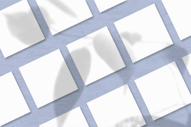istock Several square sheets of white textured paper against a blue wall background. Natural light casts shadows from an exotic plant. Flat lay, top view 1254362246