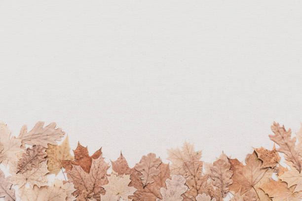 Autumn fall flat lay concept, thanksgiving day. Yellow leaf.