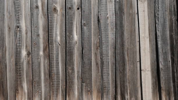 istock wooden fence 1254363557