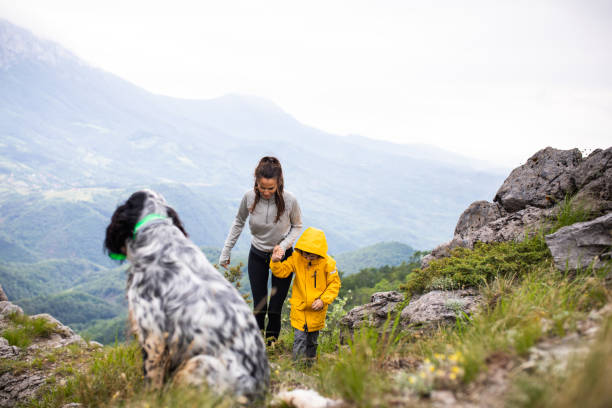 istock Mom and son hiking with their dog 1254366724