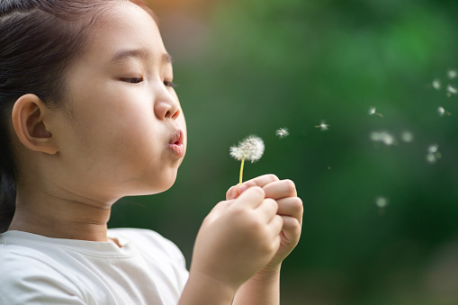 Child Blowing Away Dandelion