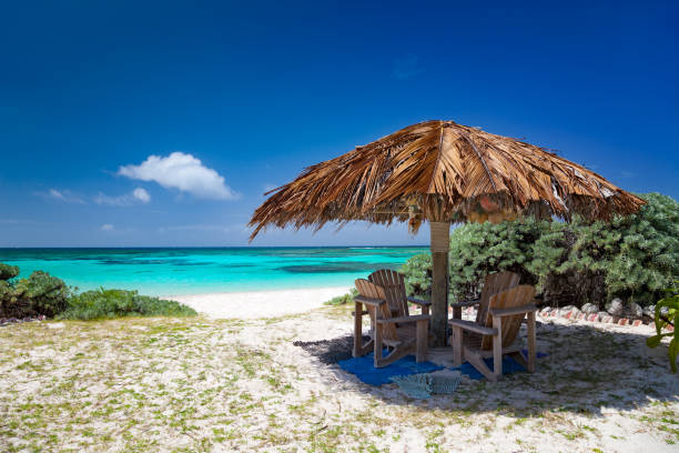 istock Chairs on the beach in Anegada 1254371893