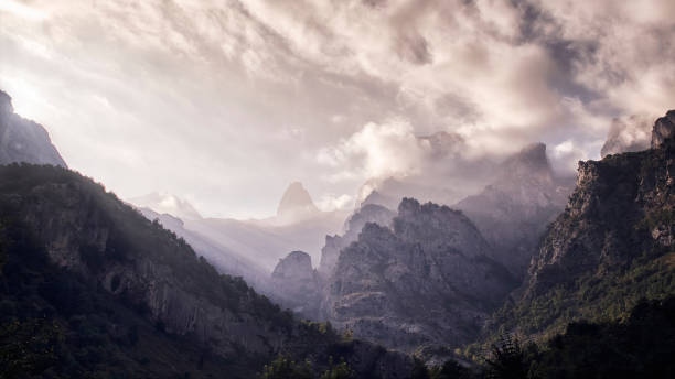 Aerial view of misty mountains at sunrise