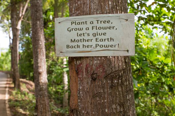 istock environmental conservation sign on a tree in the forest 1254375305
