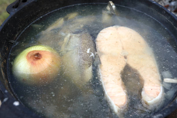 Pan with salmon fish soup on picnic