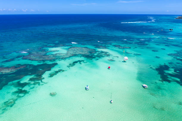 istock Aerial view with caribbean sea 1254378444