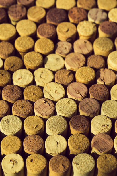 istock Wine bottle corks stopper closeup, top view 1254380203