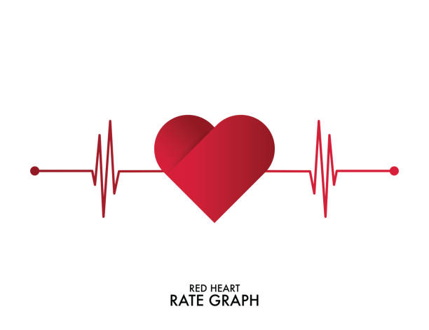 denyut jantung. warna merah dan putih. detak jantung kesepian, kardiogram. ilustrasi vektor gaya datar. ilustrasi stok - memeriksa denyut nadi ilustrasi stok