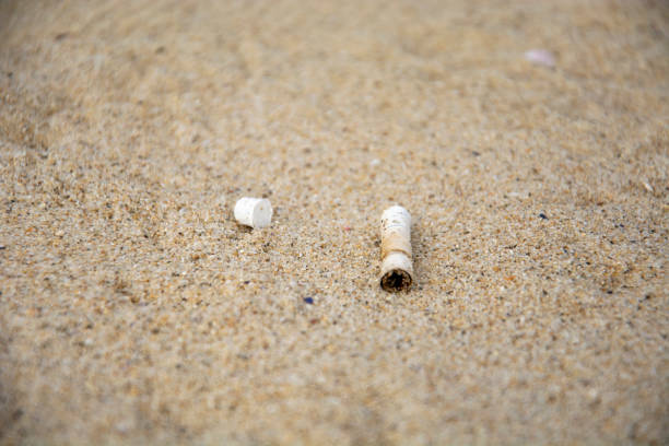 Cicca 650+ Cigarette Stub On Sand Stock Photos, Pictures & Royalty-Free ...