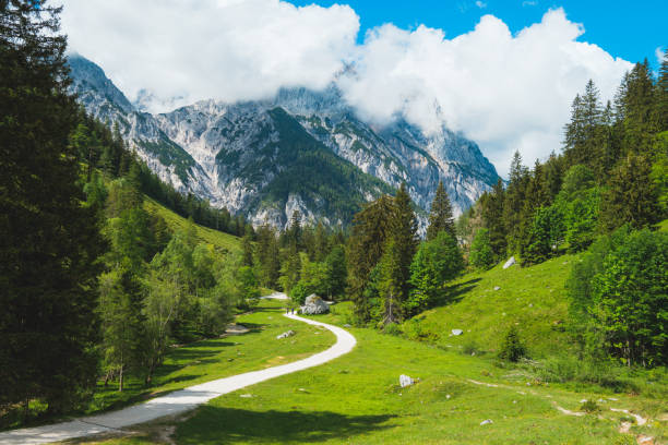 istock Alpine scene on a sunny day in bavarian alps 1254380629