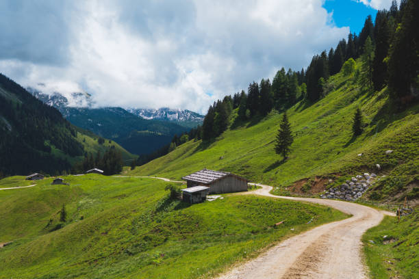 istock Alpine scene on a sunny day in bavarian alps 1254380682
