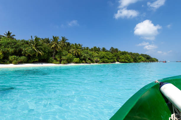 istock Sea with coconut palms island 1254380732