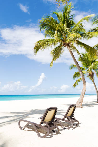 istock Beach scene with sunbeds under coconut palms 1254381884
