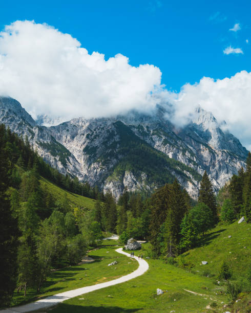 istock Alpine scene on a sunny day in bavarian alps 1254381916