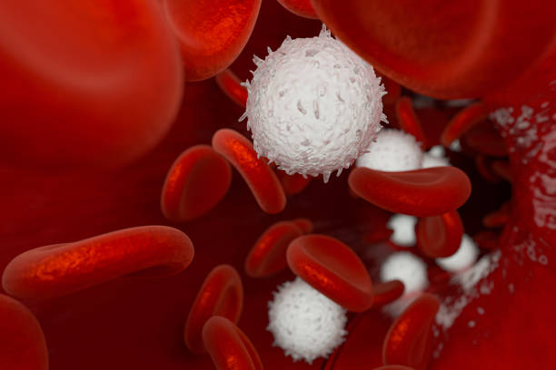 globules rouges et blancs dans le vaisseau sanguin, rendu 3d. - red blood cell photos et images de collection