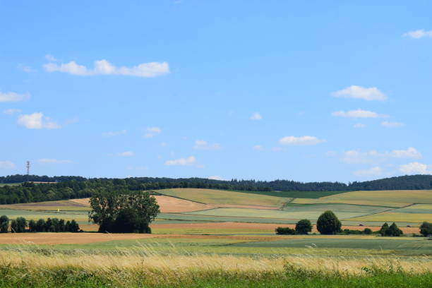 istock colors of the summer fields in the Eifel 1254386717