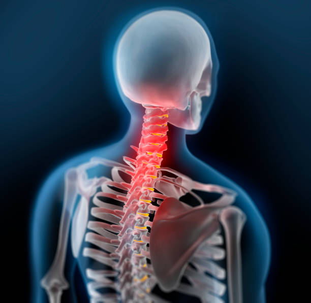 istock Human male spine - 3D illustration 1254388649
