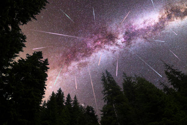 istock Purple Milky way falling stars pine trees silhouette 1254393753