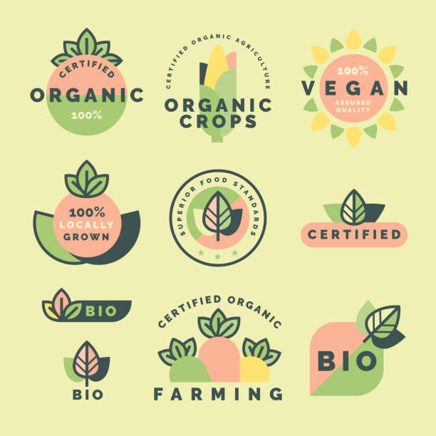 illustrazioni stock, clip art, cartoni animati e icone di tendenza di etichette per l'agricoltura biologica - vegan food food vegetable vegetarian food