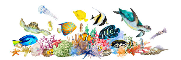 ภาพประกอบสต็อกที่เกี่ยวกับ “แนวปะการังที่มีปลาเขตร้อนปลาการ์ตูนปลาทริกเกอร์ฟิชปลาเทวดาสีฟ้าและสีเหลืองเต่าทะเลม้า� - ปลาเขตร้อน ปลาน้ำเค็ม”