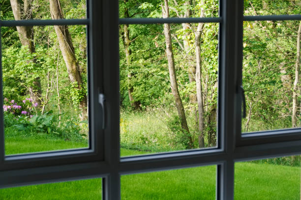 istock Summer view of green garden from inside house window 1254400708