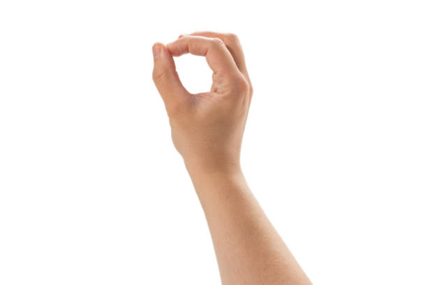 istock Male hand isolated on white background. 1254400786