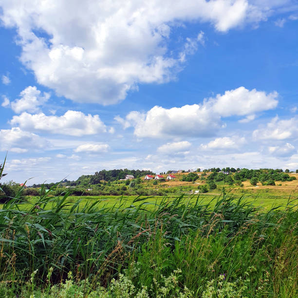 Sunlit grassy field with visible crop trails, bordered by lush green trees under a vibrant sky.