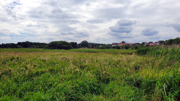 istock Polish countryside landscape 1254402178