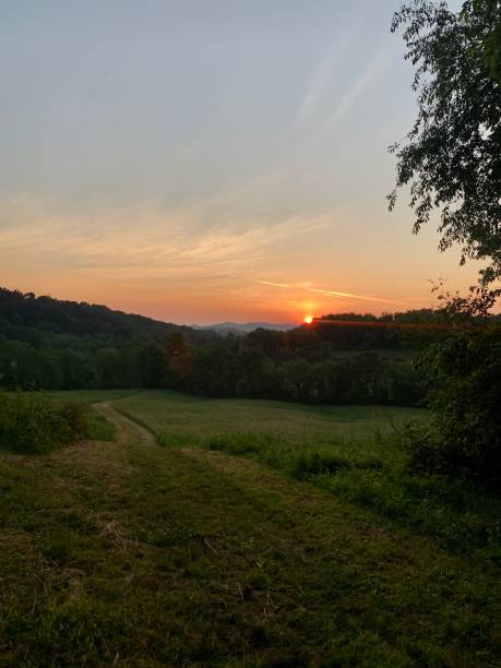 istock Sunrise in Rural Area 1254404023