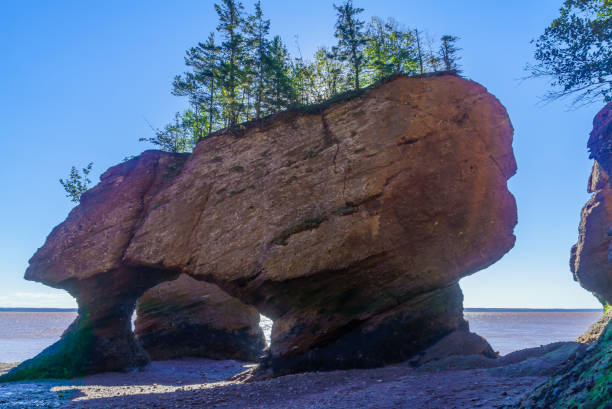 istock Hopewell Rocks at low tide 1254404665